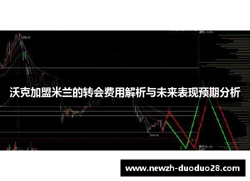 沃克加盟米兰的转会费用解析与未来表现预期分析