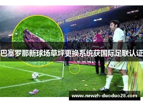 巴塞罗那新球场草坪更换系统获国际足联认证