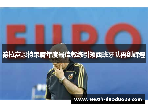 德拉富恩特荣膺年度最佳教练引领西班牙队再创辉煌 德拉富恩特荣膺年度最佳教练引领西班牙队再创辉煌